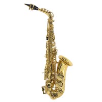 PRO. EB ALT SAXOPHON SAX ALTSAXOPHON SAXOFON MESSING GOLD KOFFER MUNDSTÜCK SET