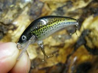 AEW HANDMADE MINI WOBBLER 3,5CM VERSCH. FARBEN KÖDER FÜR FORELLE BARSCH JERKBAIT