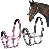 Eskadron Halfter Doppeldornschnalle NG FS16 