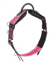 Longiergurt mit Handgriff, Haltebügel Ponyreiten  Busse Mini Shetty, Shetty Pony