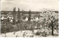 Werder, Havel, Blick von der Wachtelburg auf die Insel, DDR-Foto-Ak von 1959