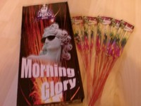 24x KINDERFACKEL Morning Glory für Geburtstag Hochzeit Party Feuerwerk Fackeln