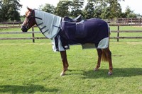 QHP Fliegen-Ausreitdecke mit abnehmbarem Halsteil Sattelaussparung