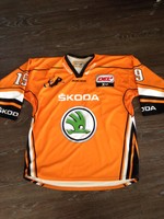 Grizzlys Wolfsburg,Grizzly Adams,Trikot,Marco Rosa,19,XXL