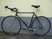 Rennrad Pinarello " Midnight Blue " mit 600er Shimano Gruppe