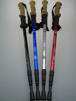 Teleskop Wander Trekking Spazierstock Nordic Walking Stöcke Antishock System