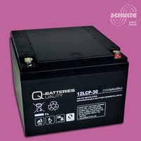 Blei AGM Akku 12V 30Ah für Elektro-Bootsmotor Außenborder Zebco Rhino Cobold 