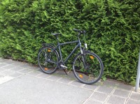 UNIVEGA Trekkingrad, Crossrad, 28" Shimano 21 G, Nabendynamo 10 LUX!, No Cube