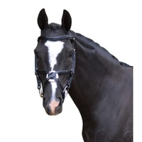 QHP Mexikanische Trense Triton Mex schwarz Leder Woll-Rosette Strass-Steine NEU