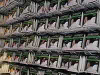 10 Stück Specitec Vorfach Haken Zielfischhaken div. Ausführungen & Größen Sänger