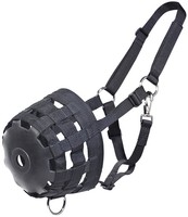 BUSSE Maulkorb + Halfter Fressbremse Kolik Anweiden Hufrehe Shetty-Full pferdo24