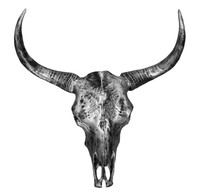 Dekofigur Büffelschädel XXL Bisonschädel Schädel Dekoration Silber Wanddeko Büff