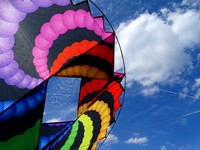 Lagerräumung: Einleiner 3 D Circle-Wing