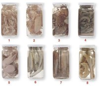 Naturköder Shrimps Tintenfisch Wattwurm Pfahlmuschel Köderfische Octopus Krabben