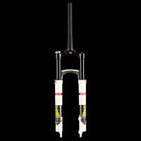 DT Swiss XRM 100 Weiß / Gelb