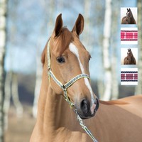 HORZE Spar-Set ARTURO Halfter mit Führstrick ~ Panikhaken ~ NEUE Farben ~ P - KB