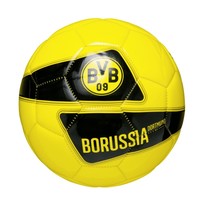 Puma evoSpeed Size 5 Ball Fußball EM 2016 BVB Ball
