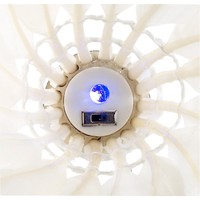 PEARL sports LED Leucht Federbälle mit Farbwechsel, 3er-Set