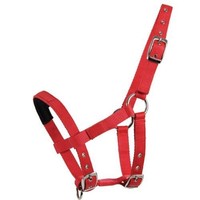 Waldhausen Mini-Shetty Halfter NEU rot