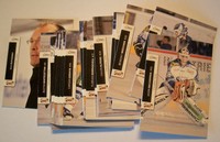 DEL 12/13 TEAMSET STRAUBING TIGERS 