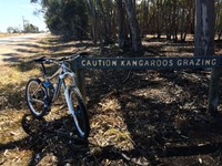 Giant Faith 0 Freeride/Downhill