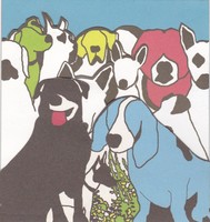 THE FORMAT Dog Problems CD FANTASTISCHES ARTWORK Nate Ruess Sam Means INDIEROCK