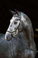 Horseware Rambo Micklem Competion Bridle, Trense, Zaum