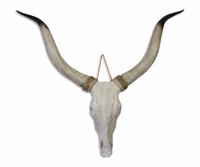 Skull Deko Schädel Gothic Schädel Skulptur Stierkopf Geweih Stier Hörner