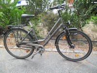 Gudereit Fantasy Damenrad / Citybike 28 Zoll