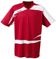 Spalding Logo 2.0 Shooting Shirt Basketball rot NEU 39529