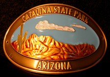 Catalina State Park Arizona new mount stocknagel hiking medallion G0150