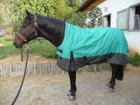 *1200 D. OUTDOORDECKE+HIGHNECK Fleecefutter 145 cm Chinagreen