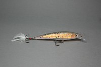 Rapala Wobbler X-Rap 10cm XR10 - TR Trout - neu!