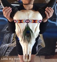  Büffelkopf Stierkopf Echt Knochen Natur Horn Beadwork SKULL- Little Big Horn 