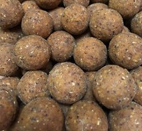 3,95€/kg 1kg 20mm Tigernuss Boilies von Groundbait