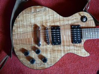 Les Paul Sondermodell von HK, Spalted Maple Top, super Optik