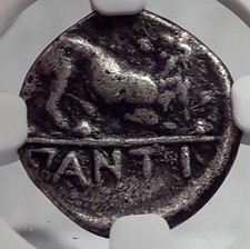 PANTIKAPAION in Bosporus 370BC Pan Lion RARE R2 Silver Greek Coin NGC i60088