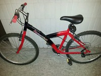 Damen Mountainbike