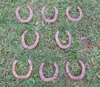 Echtes getragenes Hufeisen, Glücksbringer, Sylvester, Neujahr, Mitbringsel