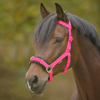 Waldhausen Economic Kappzaum Nylon, pink