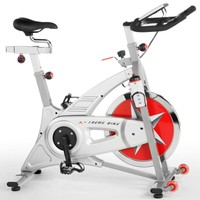 X-treme Evo Bike - Silber Edition Riemen - Indoor Cycle - 22 kg Schwungmasse