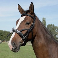 Waldhausen Kappzaum Leder, Lederkappzaum, schwarz