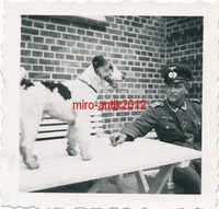 2 x Foto, Erinnerung Kriegsdienst, 1./A.A.267, 28.08.39-28.09.40, Regimentshund