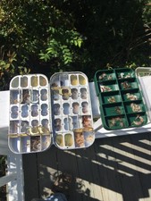 trout Fly Assortment