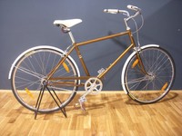 Felt Singlespeed Bike kultigen English-Race-Style 60er Citybike retro Electra