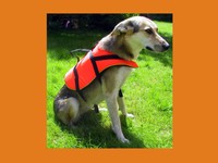 Hundeschwimmweste Hunderettungsweste Hundewarnweste Hundeweste Navyline alle Gr.