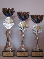 3er-Serie Sport-Pokale (silber-blau) mit Wunschemblem und Wunschgravur 