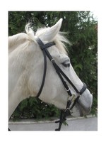 Hannoveranische Reittrense Trense Equestrian schwarz/schwarz NEU