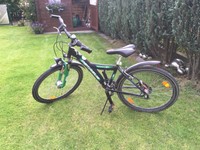 Kindermountainbike 26" Pegasus