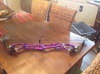 Hoyt Pro Comp Elite XL